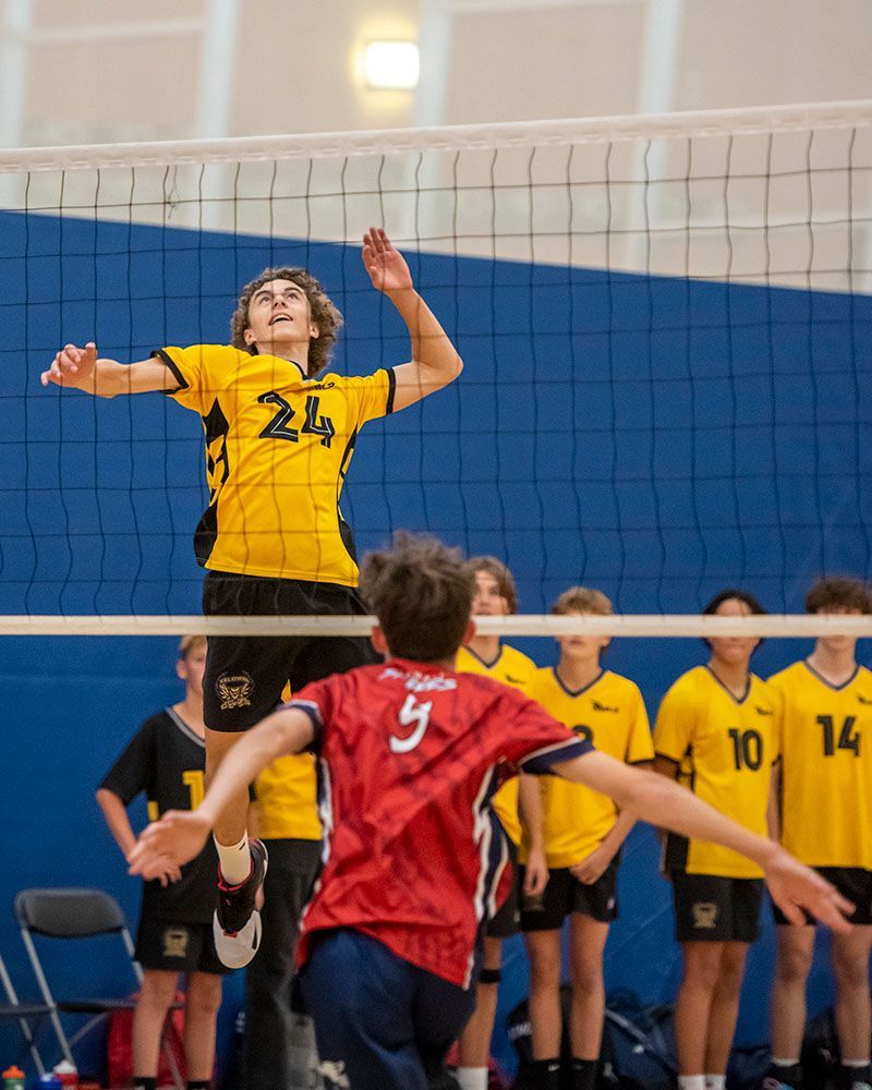 BCBOYSVOLLEYBALL tweet media