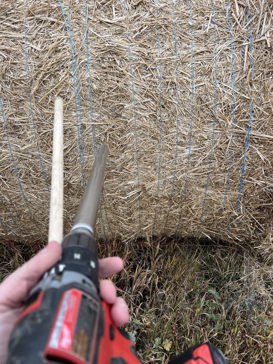 Sean McGrath tweet media