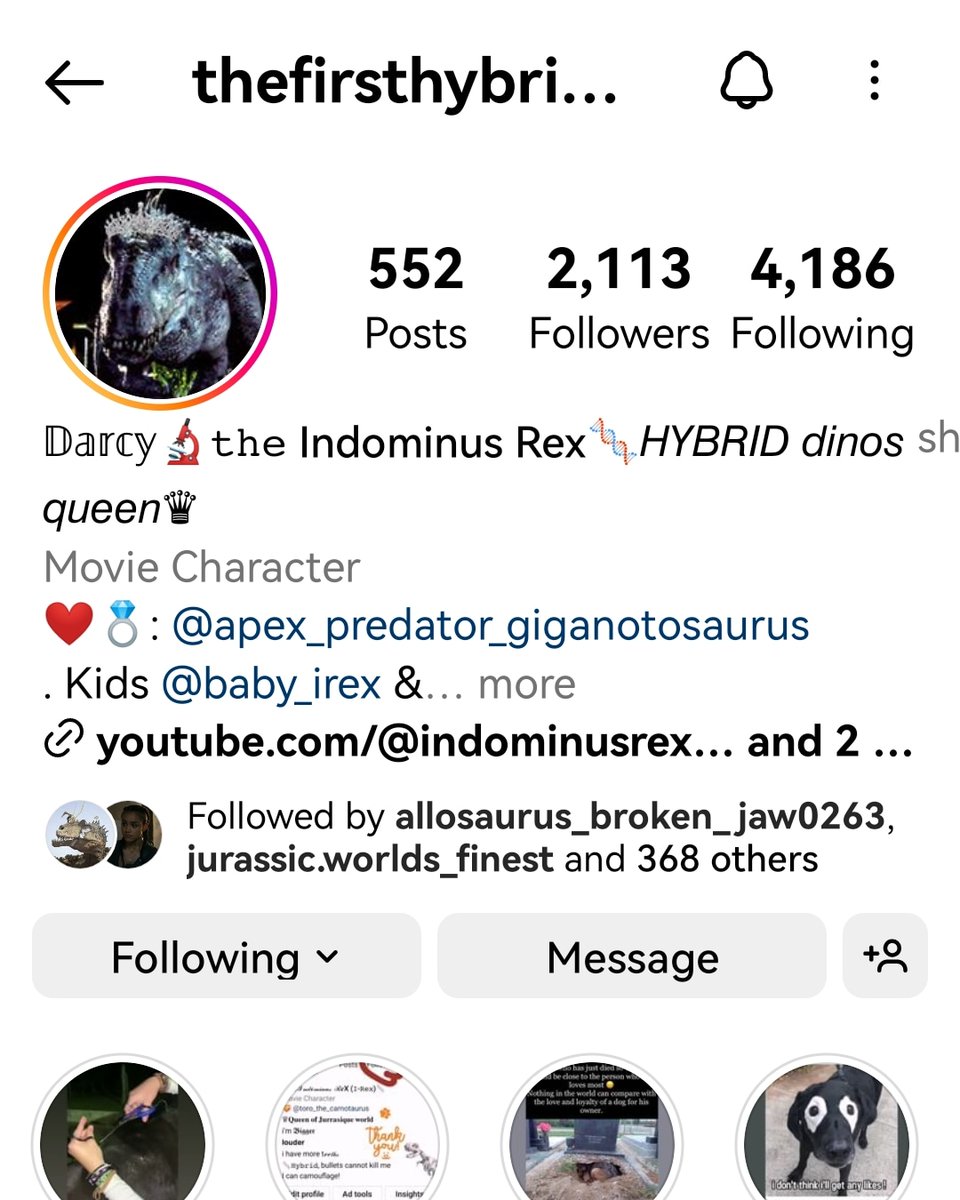 the_i_rex's tweet image. It's strange, I lost my main account againt, then I get it back 

Instagram is strange sometimes