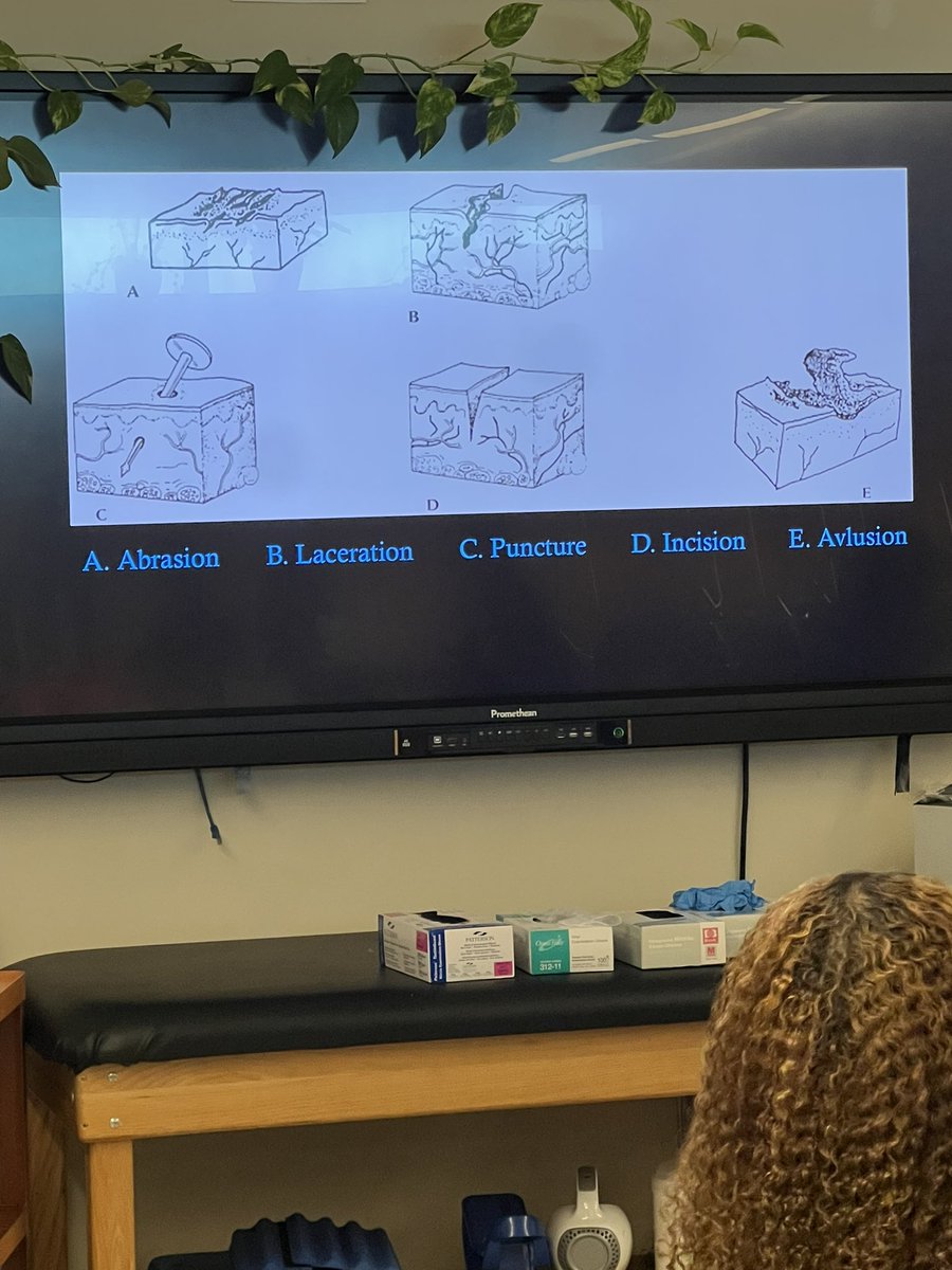 Oranges today, athletes tomorrow! 🍊 Our sports medicine students mastering wound care techniques. Kudos to our creative teachers for this zestful approach to wound care practice! #FutureMedics #PracticeMakesPerfect #HCTCReady <a href="/CtcHollenstein/">Hollenstein CTC, EMS ISD</a> <a href="/EMSISD/">EMS ISD</a> <a href="/EMSISD_CTE/">EMSISD CTE</a>