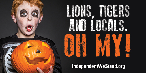 #ShopSmall #buylocal #shoplocal for #Halloween