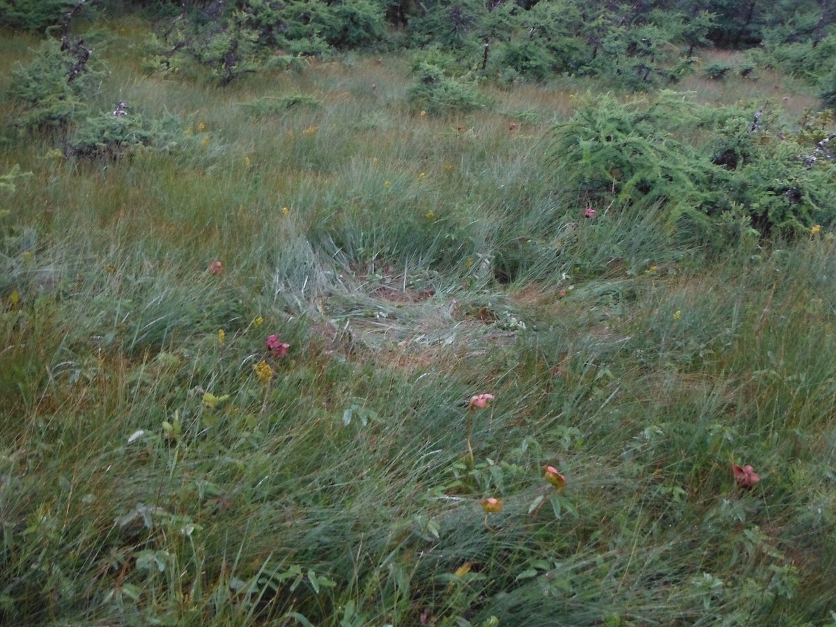 Brian Murphy tweet media