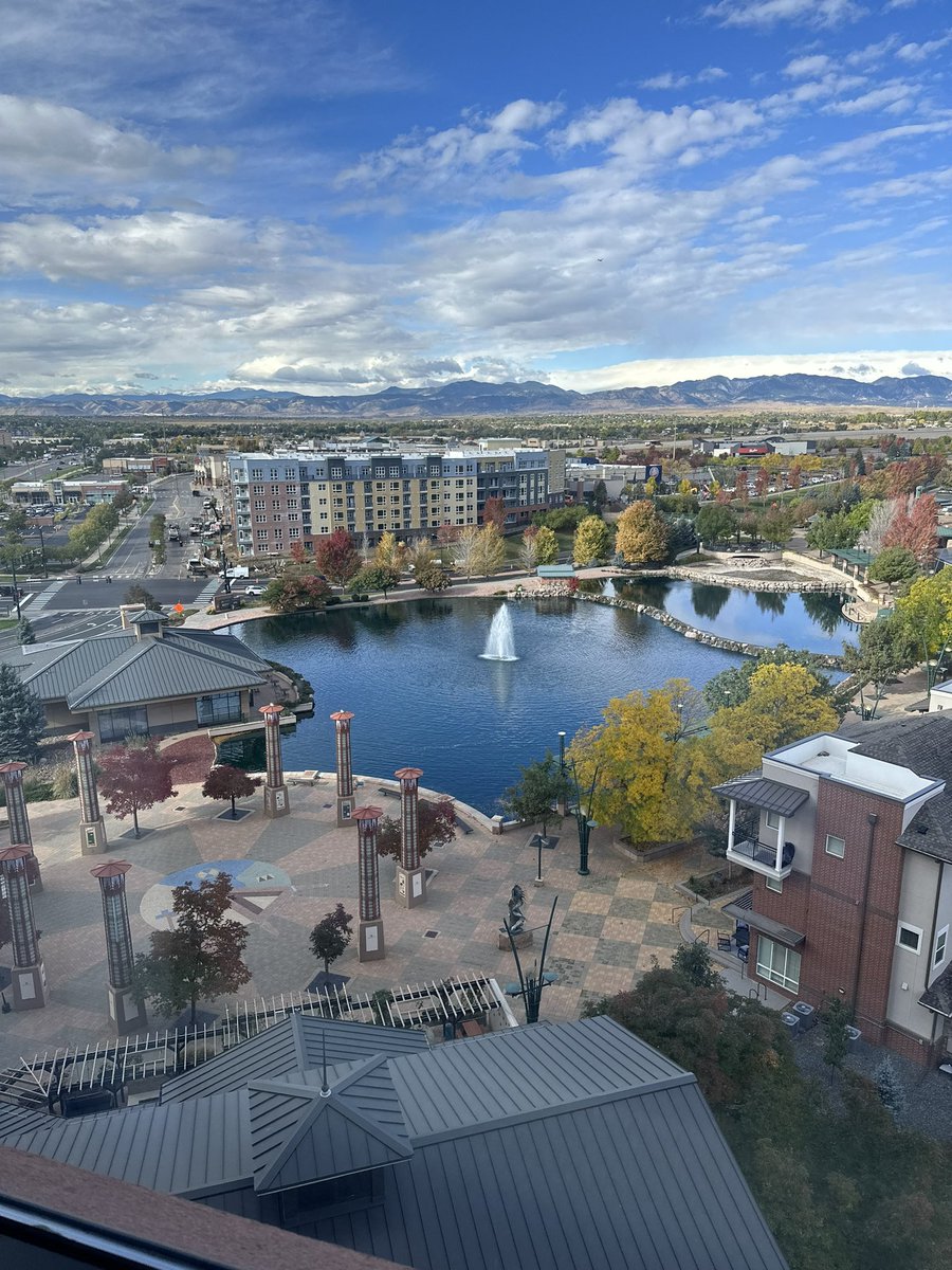 Aloha KC 🌸🌈💜🟦 tweet media