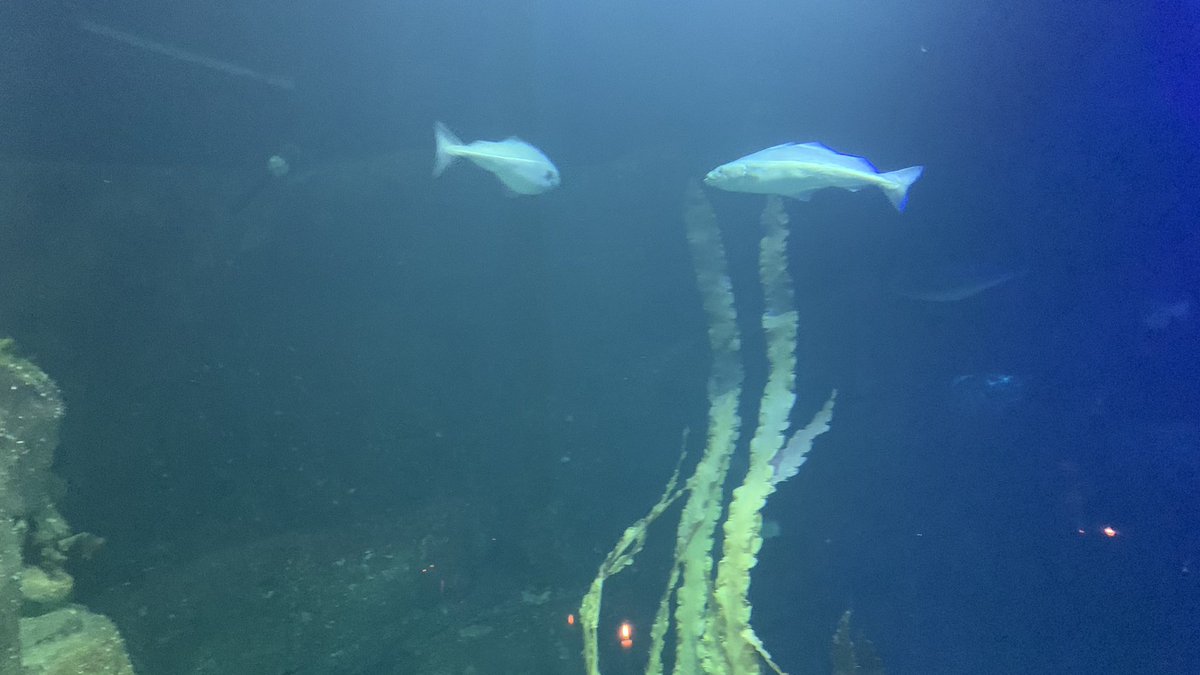 Nordic Workshop 2023 tweet media