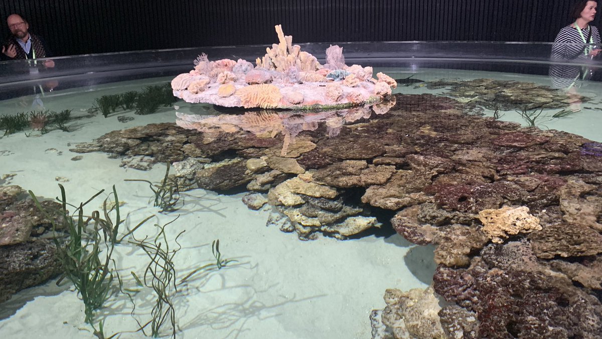 Nordic Workshop 2023 tweet media