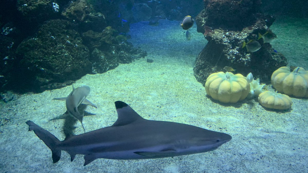 Nordic Workshop 2023 tweet media