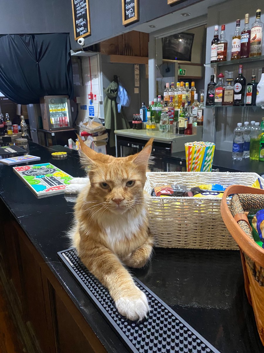 Martha Oakes PR tweet media