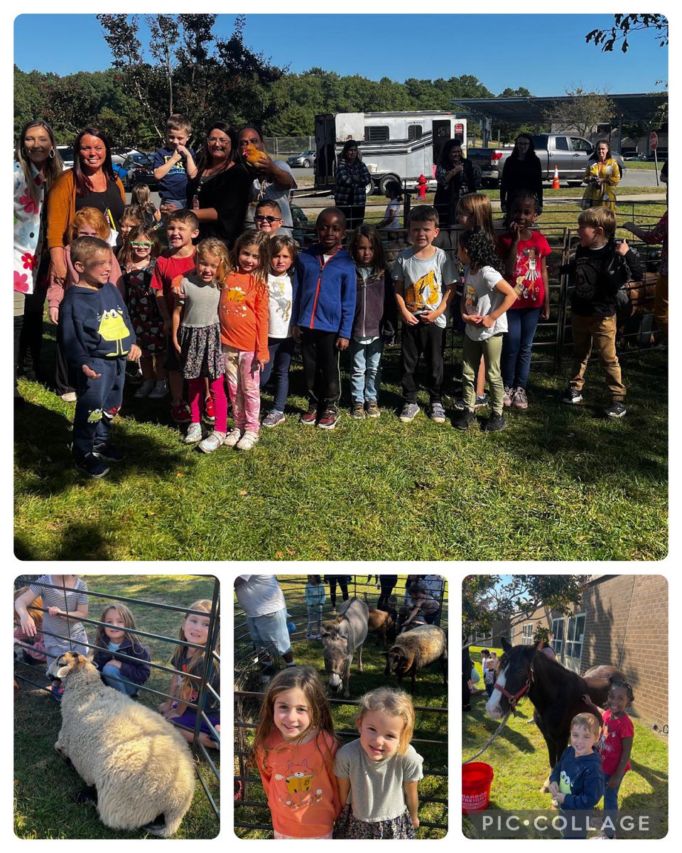 Thank you to the Barnegat Elementary PTA for sponsoring a Petting Zoo for our LMDS and CSCS students. They were so excited to see all of the animals 🐑 #barnegatinspires