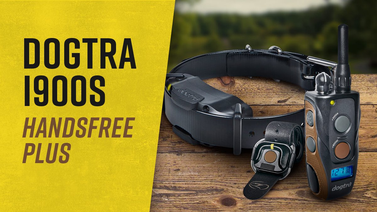 Shop Now: rayallen.com/dogtra-1900s-h…

In the video we showcase the 1900s Handsfree Plus with the new "Boost &amp; Lock" features. Configure your stim and boost settings, “lock” the dial, and head out to work! 

Learn More: rayallen.com/blog/dogtra-bo…