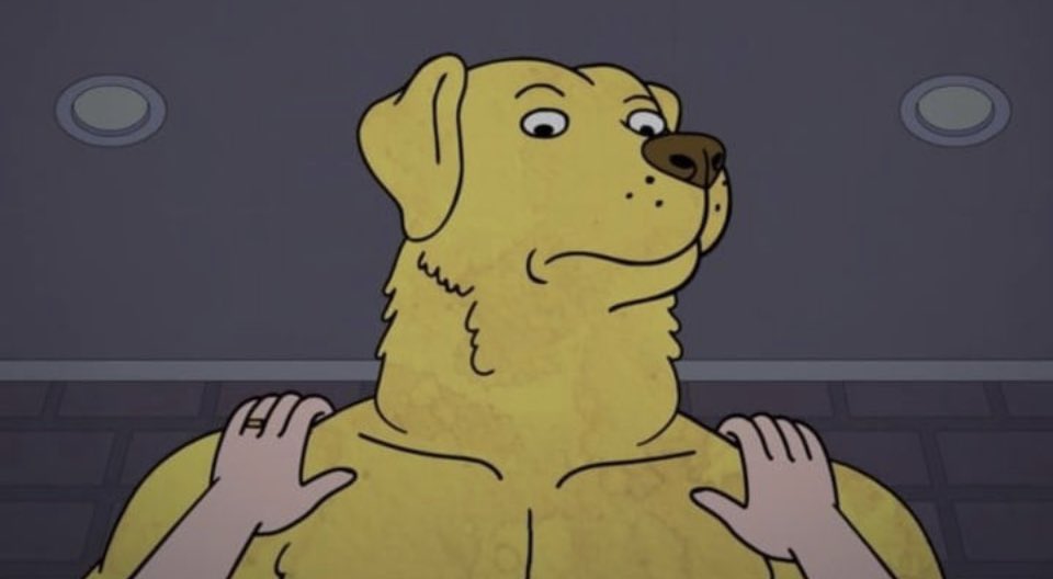 Liv_Agar's tweet photo. Finished bojack. Great series . Enjoyed it. Not sure why this image is attached don’t know how to delete https://t.co/LHhvqQiqd7