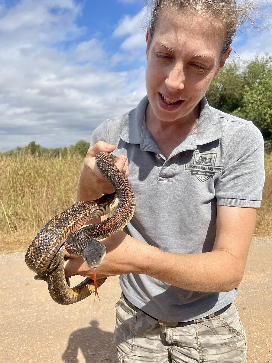 Getting him off the road…