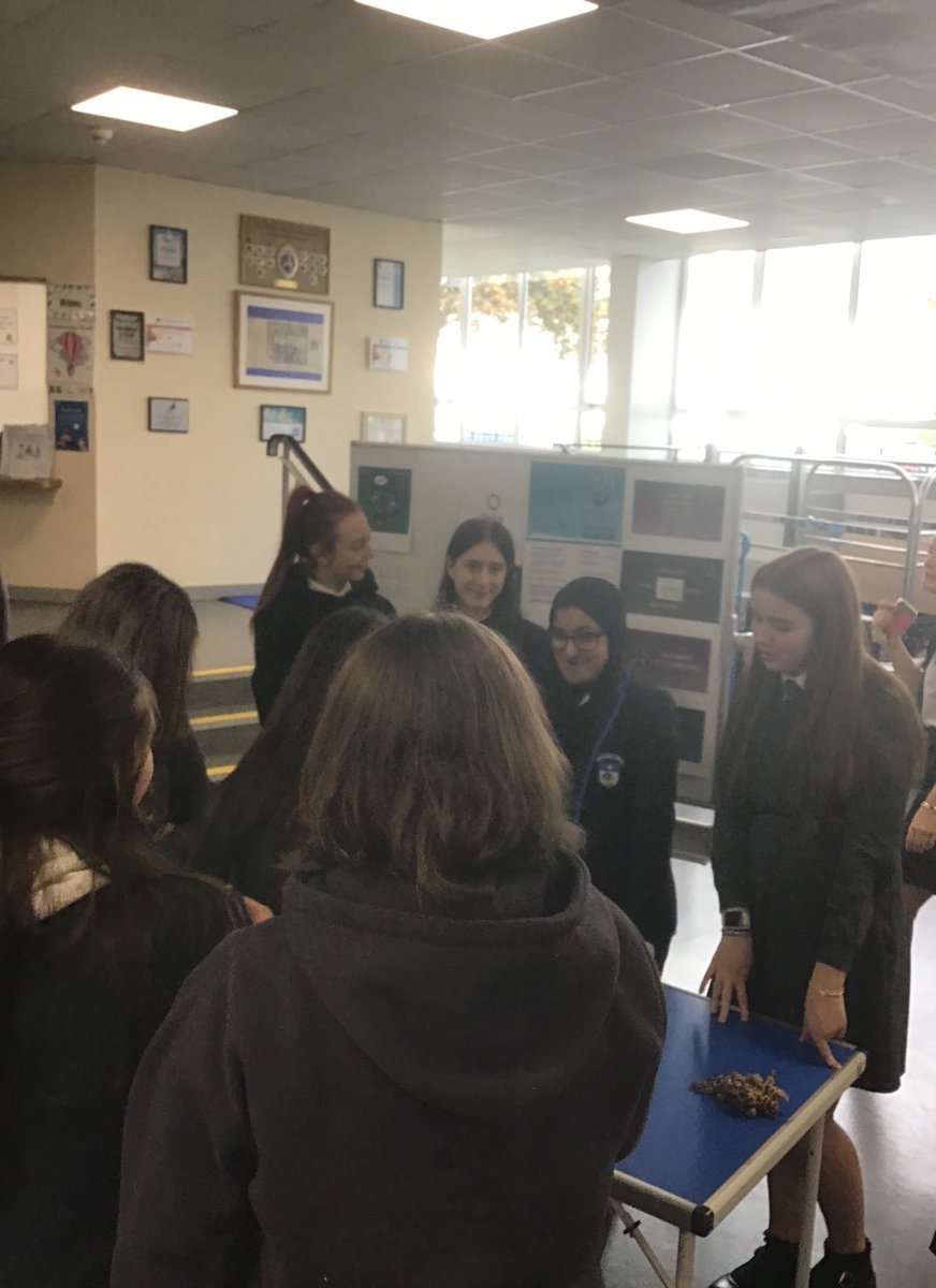 TheRoseRoom3's tweet photo. So proud of the S6 Rose room group for their efforts at lunchtime. Raising awareness about mental health week &amp; handing out free prints (for the backs of phones) with positive quotes &amp; coping strategies for anxiety. You all put in so much effort &amp; I know it had a massive impact🙌🏼 https://t.co/UzKmmtxsov