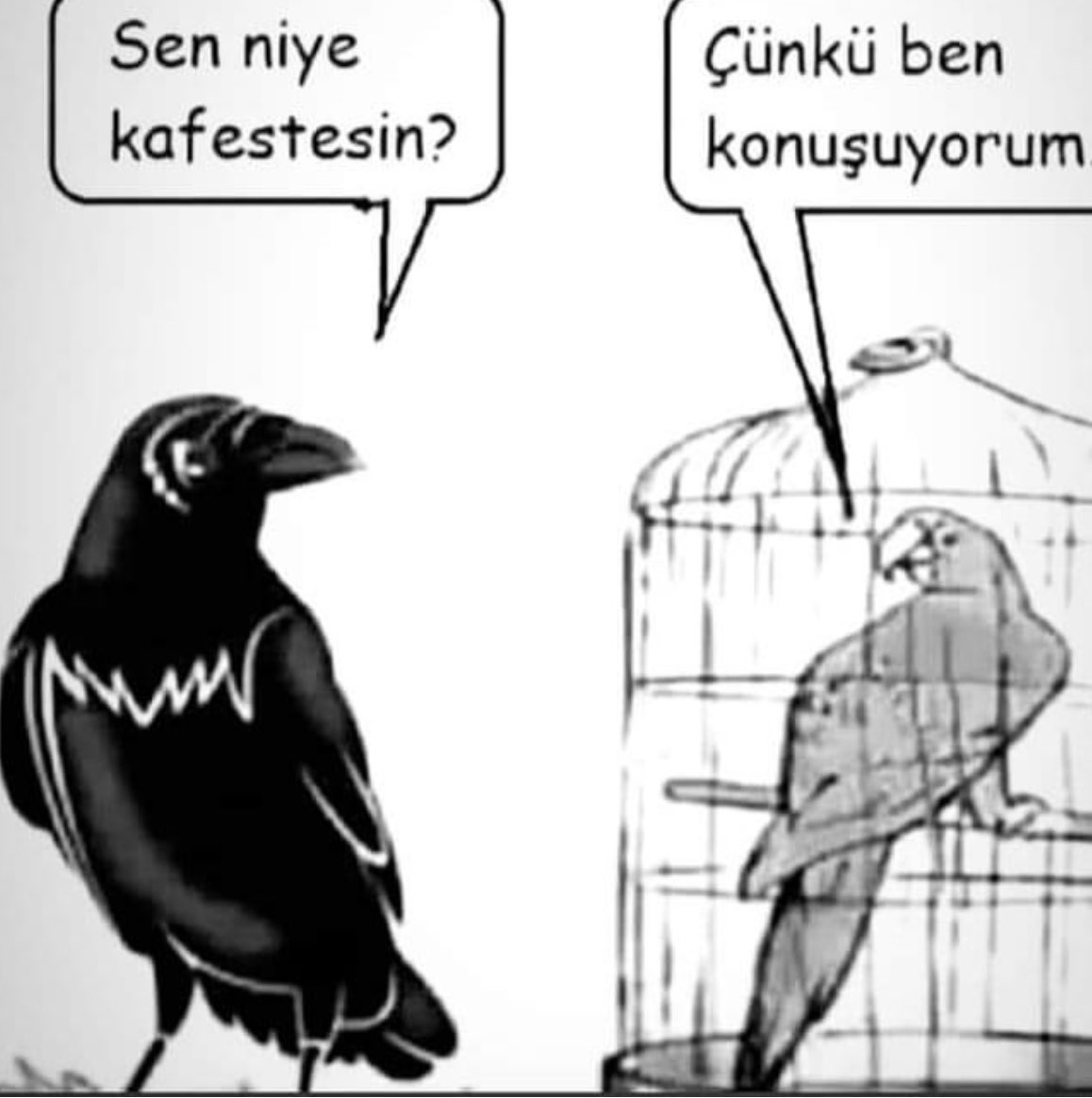 Nesini anlatayım ben özgürlüğün.
Gün olur zincire vurulmaktır özgürlük,

Gün olur göğsünü gere gere ıslık çalmak caddelerde..

Hasan Hüseyin Korkmazgil 🌙