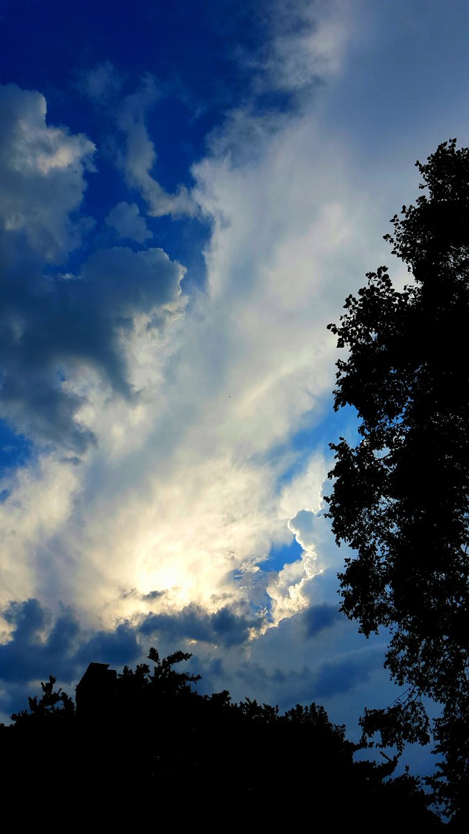 treeguysc's tweet photo. @tornadopaigeyy Not the kind you mentioned but pretty clouds and sun. https://t.co/8xlNzLBU8M