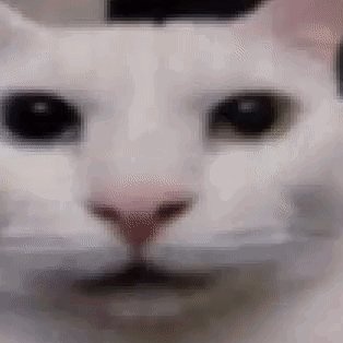 bruh69526's tweet photo. @SkeletonJanito @SoyjakCentral What happened to shame https://t.co/GlROgOoj5u