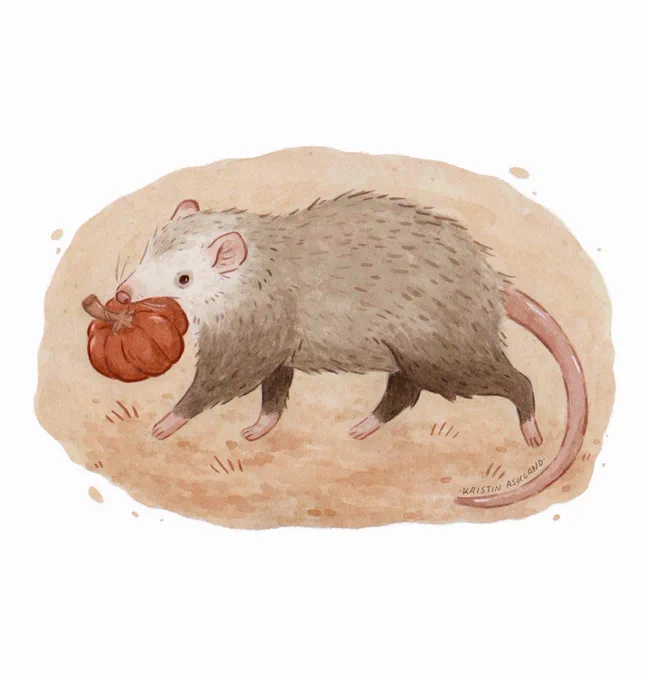 The Pumpkin Thief!