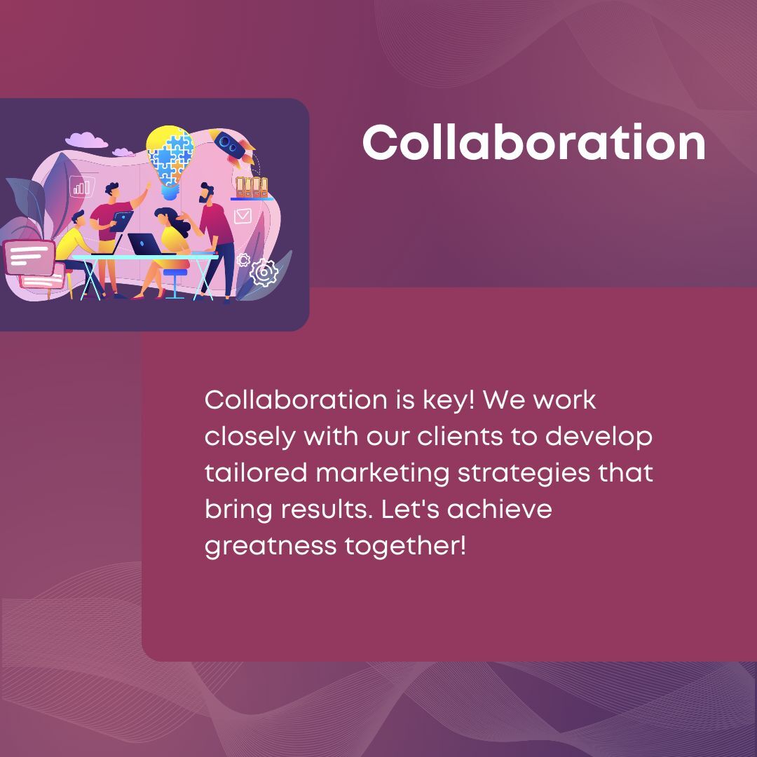 Bark Street Digital tweet media