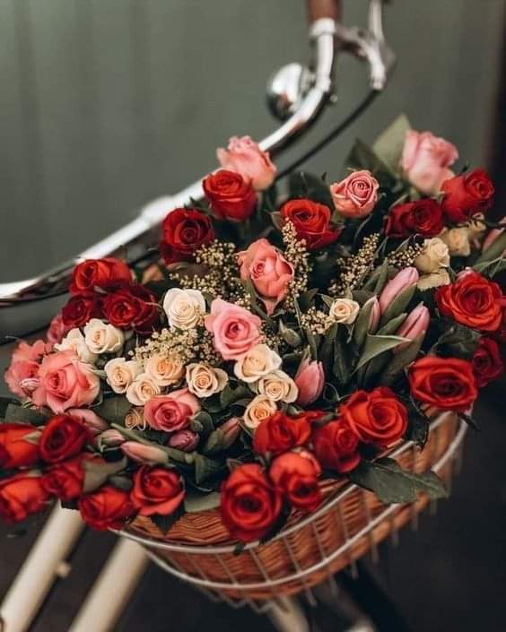 ☘🦋🌸⚘💛 Eva 💛⚘🌸🦋☘ (@eva_mar2011) on Twitter photo 