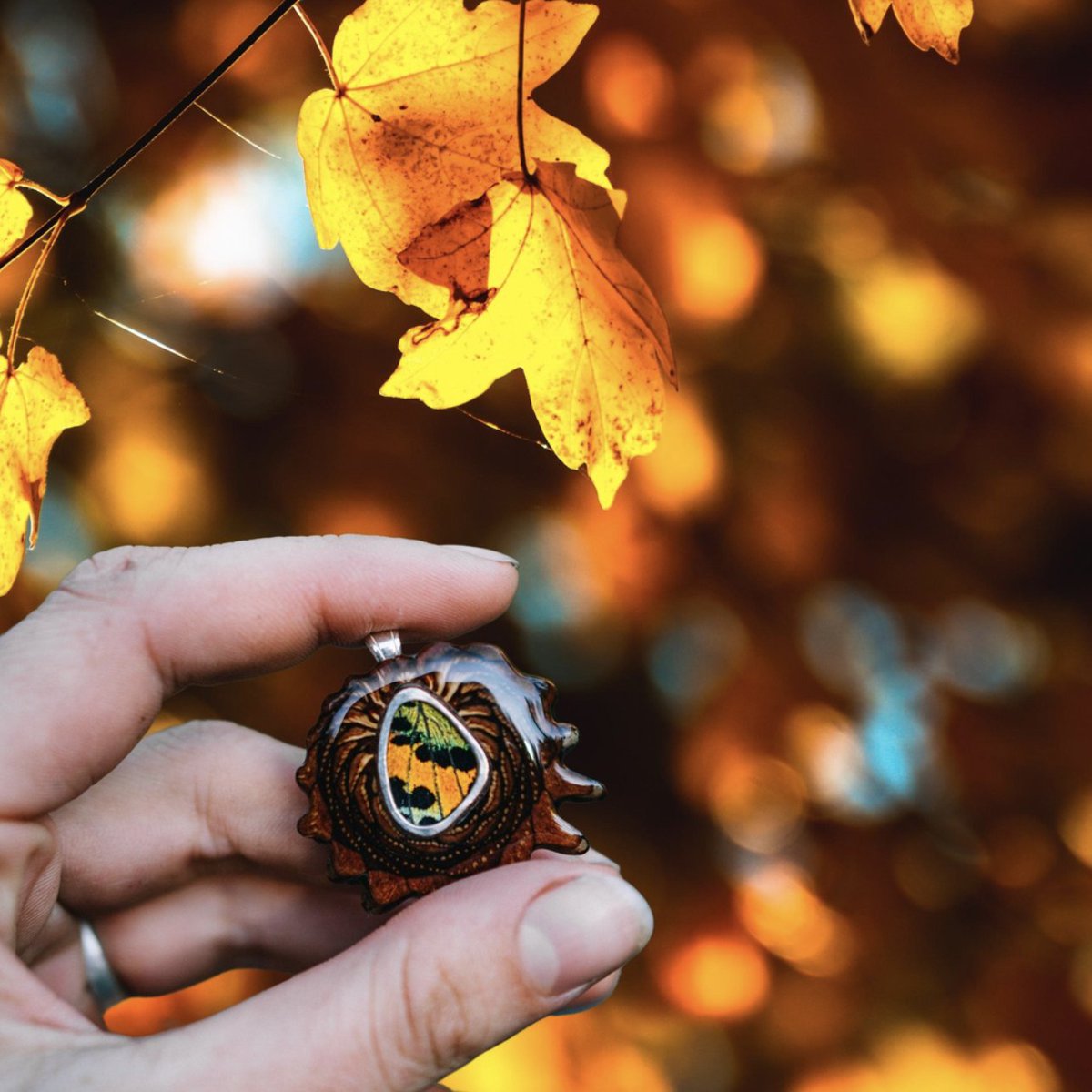 Autumn leaves and Pinecone dreams 🍁🌲💭

-

-

-

-

-

#thirdeyepinecones #thirdeyepinecone #festivalvibes #festivalfashion #festivallook #summerfestival #musicfestivals #naturemade #veganjewelry #naturemagic #pinecone #pineconependant #pineconenecklace #pineconejewelry #golden