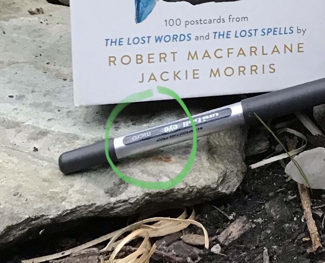 letterappsoc's tweet photo. @RobGMacfarlane @JackieMorrisArt Also bit random but couldn’t remember the hashtag catchphrase thingy - mini? small? adventures - but the answer was on my pen all along! #microadventures @Al_Humphreys 😁🖊💌 https://t.co/fi3nu3BokE