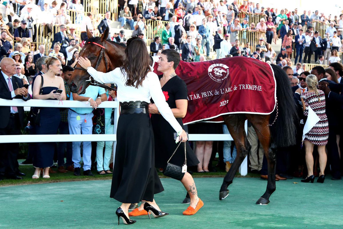 Happy retirement Champion ❤️ ACE IMPACT