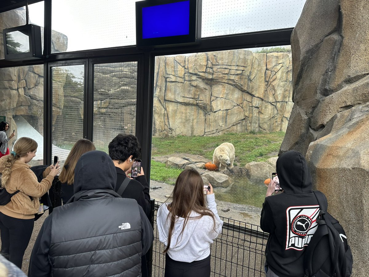 missproffittphs's tweet photo. We had a fantastic day at Lincoln Park Zoo! Wow, our students were amazing all day and got to see everything on their lists - couldnβt ask for a better group π π π¦ #onephs #mypalatine https://t.co/YFH8gHfIHf