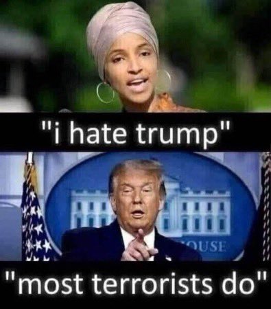 Do you think Ilhan Omar should be expelled from Congress for her pro-Hamas views? YES or NO?