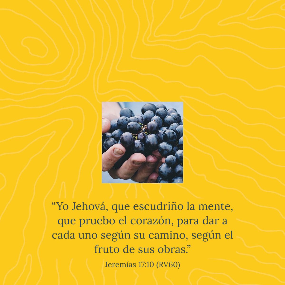 Dios escudriñará tu mente, buscará cambiarla y transformarla probando tu corazón, para ver qué camino tomarás y qué llevarás a tu corazón para dar a cada uno según el fruto de sus obras. 

#crfpp #latransformaciondelamente #lareformadelamente