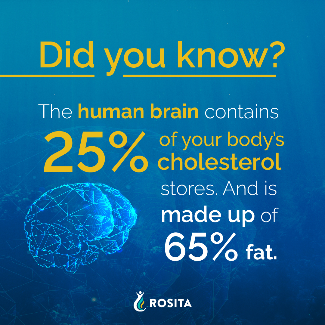 So it’s really no wonder that the powerhouse of your body requires healthy fats to thrive! 🧠