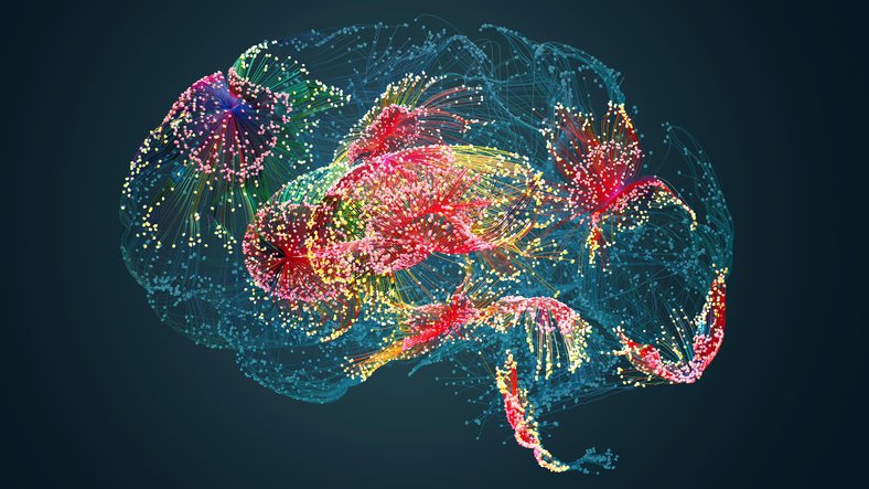 In several parallel projects now published in @ScienceMagazine, @slinnarsson's group at KI and colleagues @humancellatlas have created the most comprehensive atlases of human #brain cells to date, providing clues on different brain diseases. #neuroscience news.ki.se/cell-atlases-o…