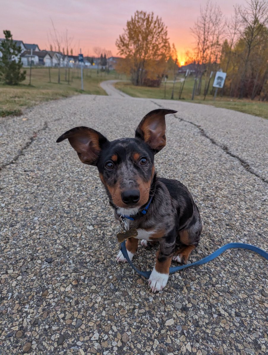 Ramsreef_TTV tweet media