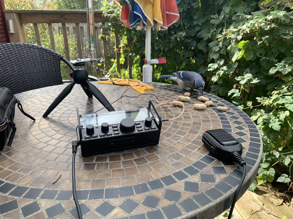 Kieran Shepherd tweet media