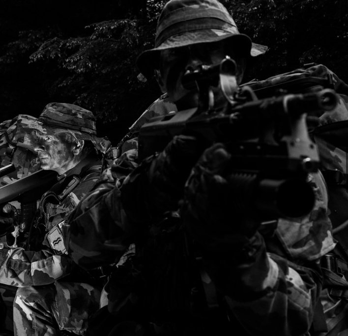 Defence Forces Cavalry Corps tweet media