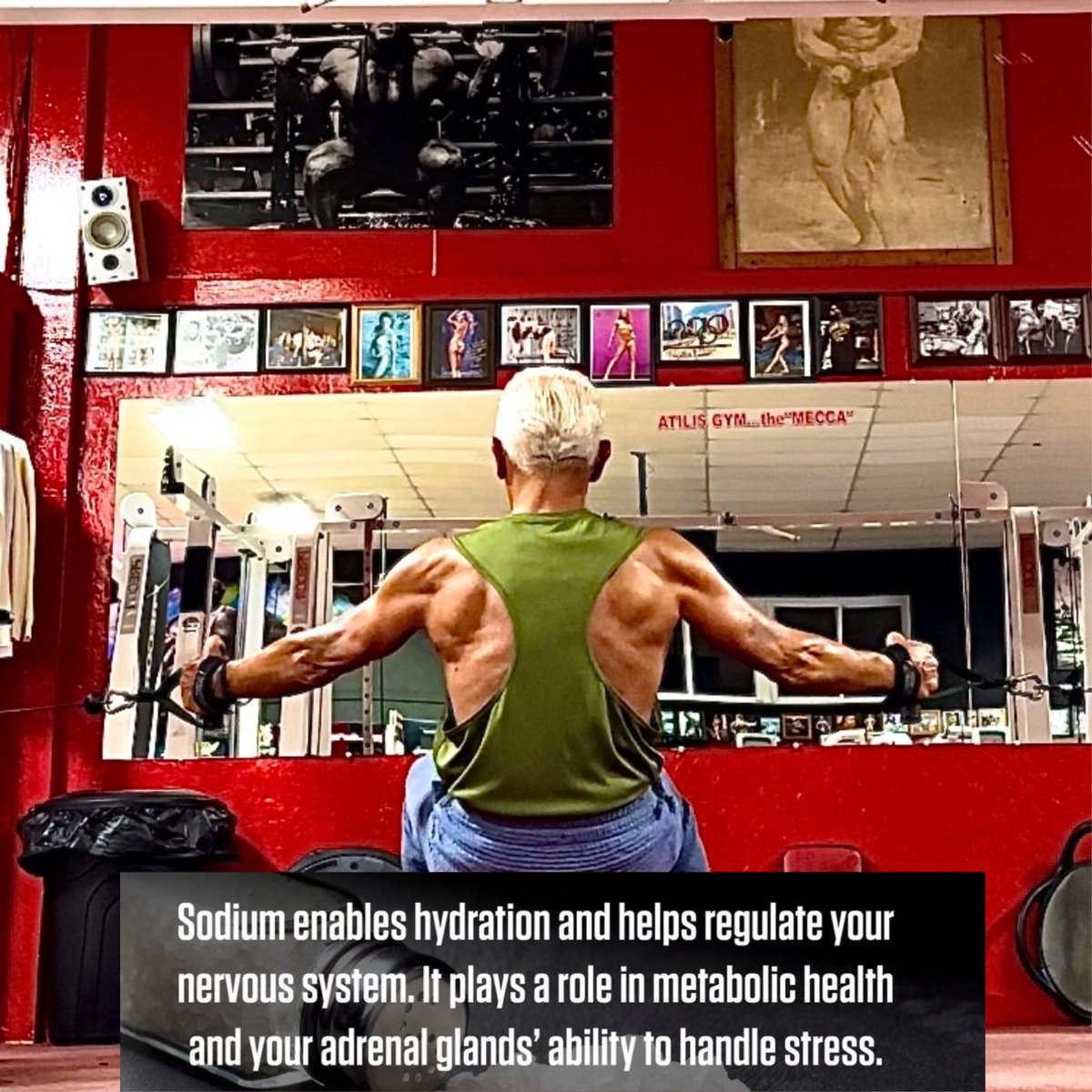 JerardF's tweet photo. #videos #food #gymlife #health #diet #fitness #fitfam #strongwomen #weightloss #healthyfood #fitspiration  #fitnessmodel #gym #vitamins #fitnesslifestyle #fitlife #gymtime #workout #training #fitness #running #personaltrainer #fitnesslife #gymmotivation #gym #gymrat #strong https://t.co/h2bgQfiSDC