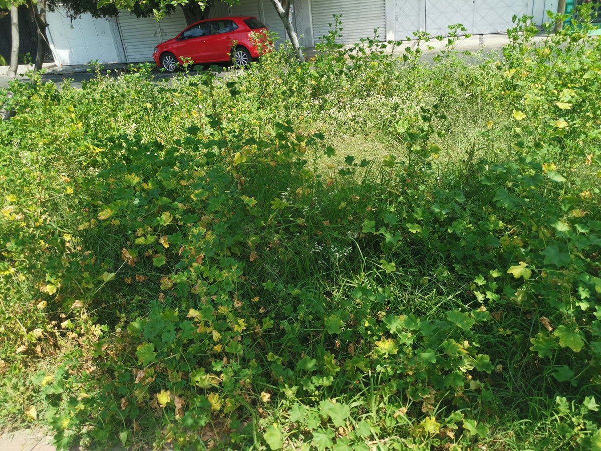 Elii Cruz tweet media