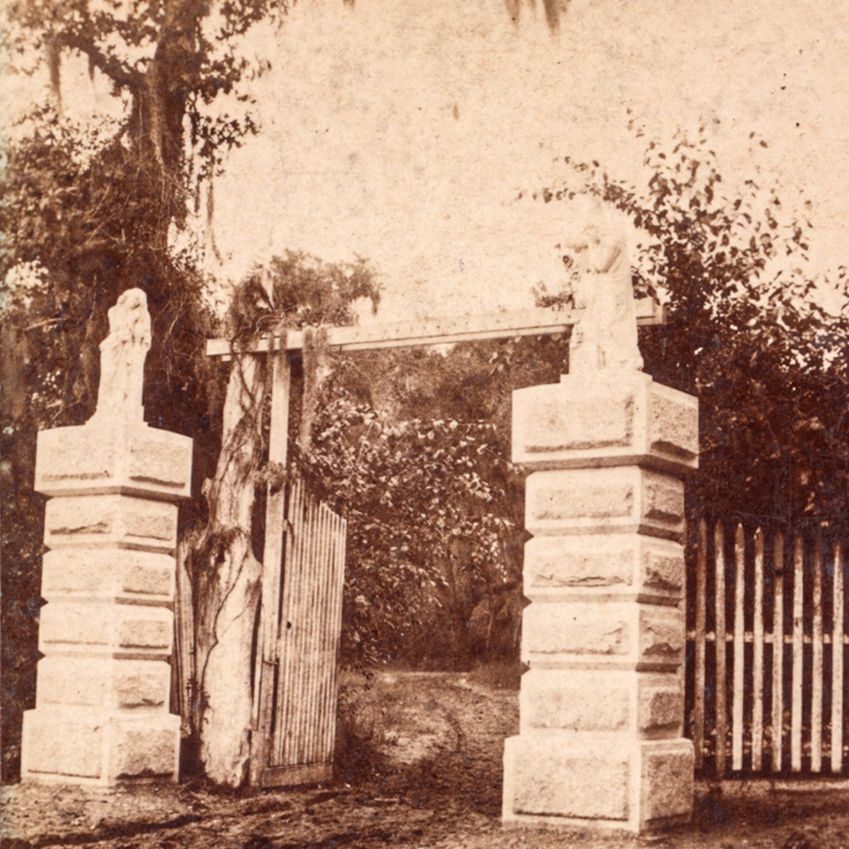 In 1846, in Savannah, Georgia, the grounds of an 18th-century plantation became Bonaventure Cemetery. The entrance gates welcome thousands of visitors a year to experience one of the most picturesque resting places in the country. Image from <a href="/nypl/">NY Public Library</a> #NYPLDigitalCollections
