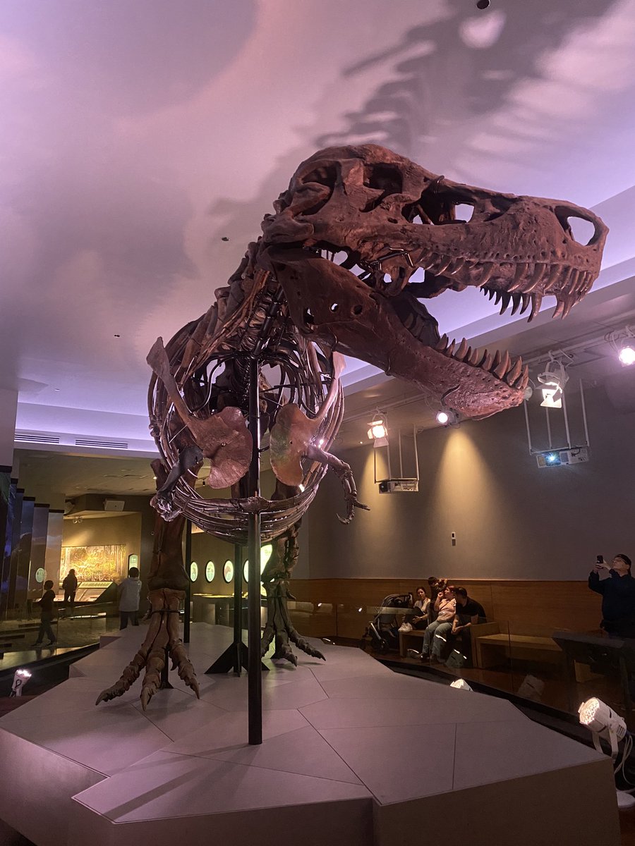 piercingwit's tweet photo. @SUEtheTrex just visited and you don’t look a day over 65(000,000)! https://t.co/3DcM97m1wa