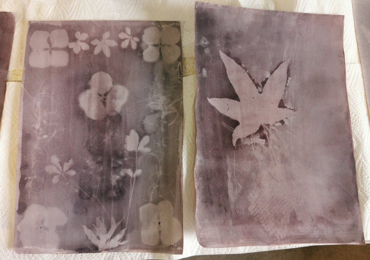 Had a ball doing darkroom-free photograms with plant-based potions! Thanks to <a href="/MeganRingrose/">Megan Ringrose</a> <a href="/FitzroviaNoir/">Garry Hunter_Fitzrovia Noir CIC/Tommy Flowers Pub</a> <a href="/ntartstudio/">North Tyneside Art Studio</a> <a href="/HeritageFundUK/">The National Lottery Heritage Fund</a>
