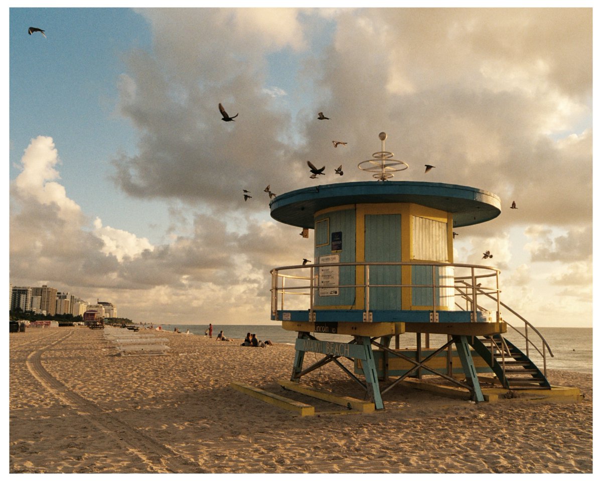 Shotby_dp's tweet photo. A golden morning in Miami// shot on Contax G1//@KodakProFilmBiz Gold 200 https://t.co/U6dEWWQySl