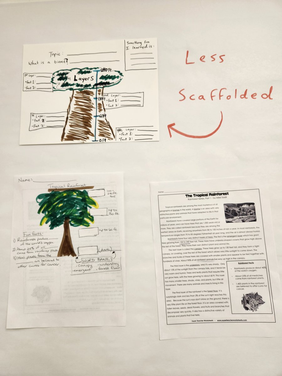Amy Sherman, Ed.D. (@shermanaps) on Twitter photo In today's SIOP Model training, a group of teachers created two examples of how to use graphic organizers to adapt texts for ELs! <a href="/CAL_LangLit/">CAL Solutions</a> <a href="/APS_ESOL/">APS Office of English Learners</a> In today's SIOP Model training, a group of teachers created two examples of how to use graphic organizers to adapt texts for ELs! <a href="/CAL_LangLit/">CAL Solutions</a> <a href="/APS_ESOL/">APS Office of English Learners</a>