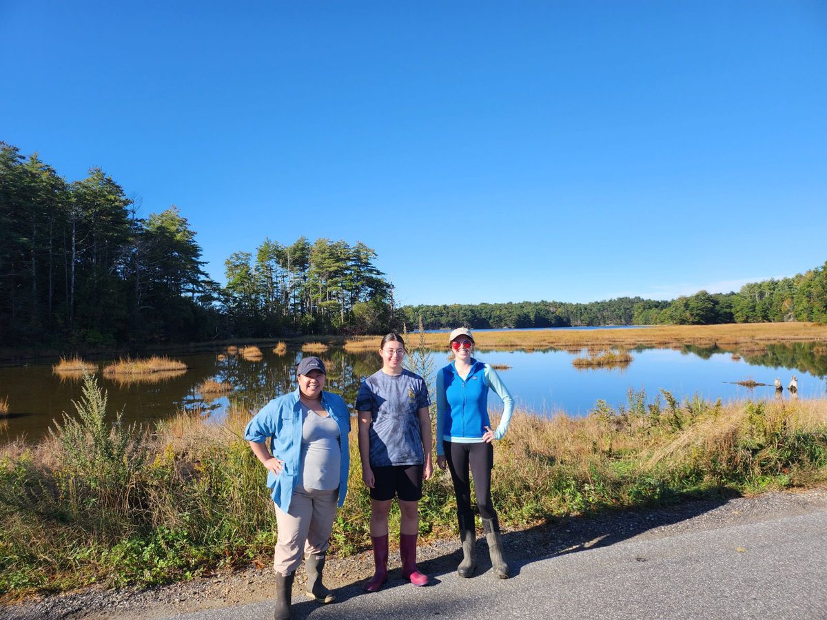 Ashley Bulseco, Ph.D. tweet media