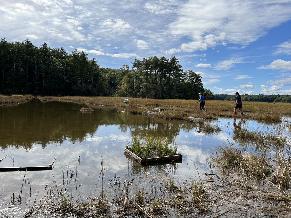 Ashley Bulseco, Ph.D. tweet media