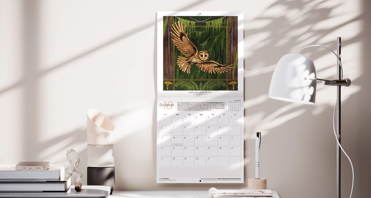 Elaine Chen ☘️ tweet media