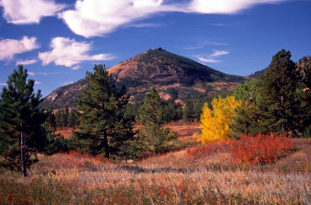 NEMTTOURISM's tweet image. It is easy to fall in love with Northeast Montana.

#MissouriRiverCountry #NortheastMontana #MoreRoomToRoam #TravelMontana #ExperienceMontana #406 #LastBestPlace #BigSkyCountry #MontanaMoment #MontanaGram #OnlyInMontana #EasternMontana⁠