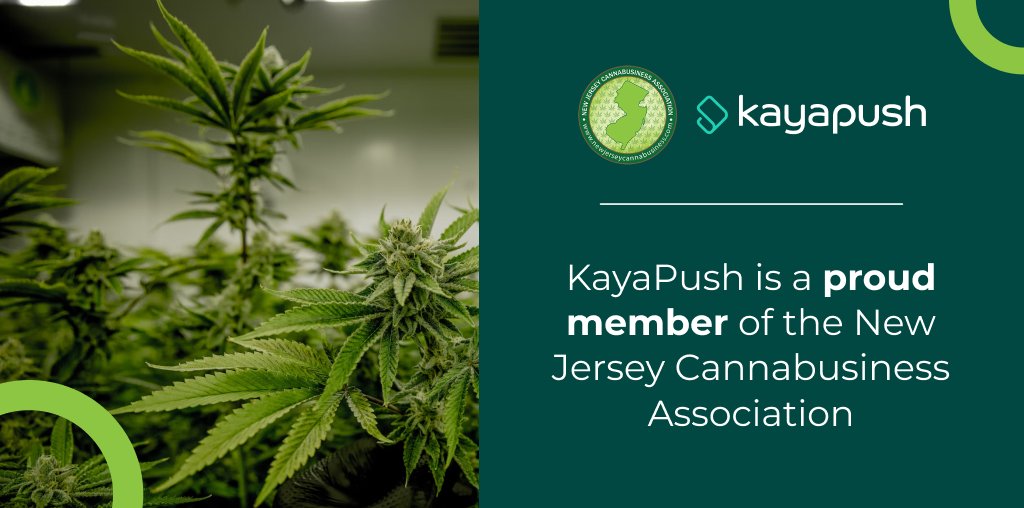 KayaPush is proud to be a member of the New Jersey Cannabusiness Association (NJCBA)! 🌿 @NJCannaBusiness is a non-profit trade association dedicated to fostering a responsible, sustainable, and inclusive cannabis industry in New Jersey. #Cannabusiness #SustainableGrowth