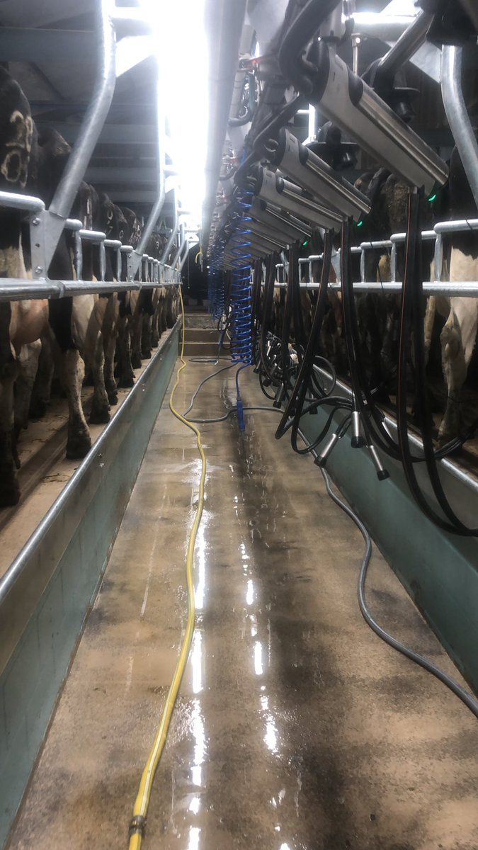 mrmattyhill's tweet photo. 5 weeks in the new parlour today. Job ✅ https://t.co/xSq6vAJwaA
