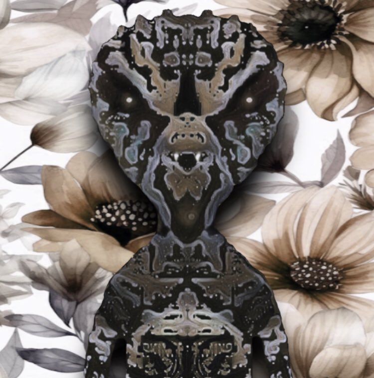 Reptilian & Skinerx NFT👽🛸 tweet media