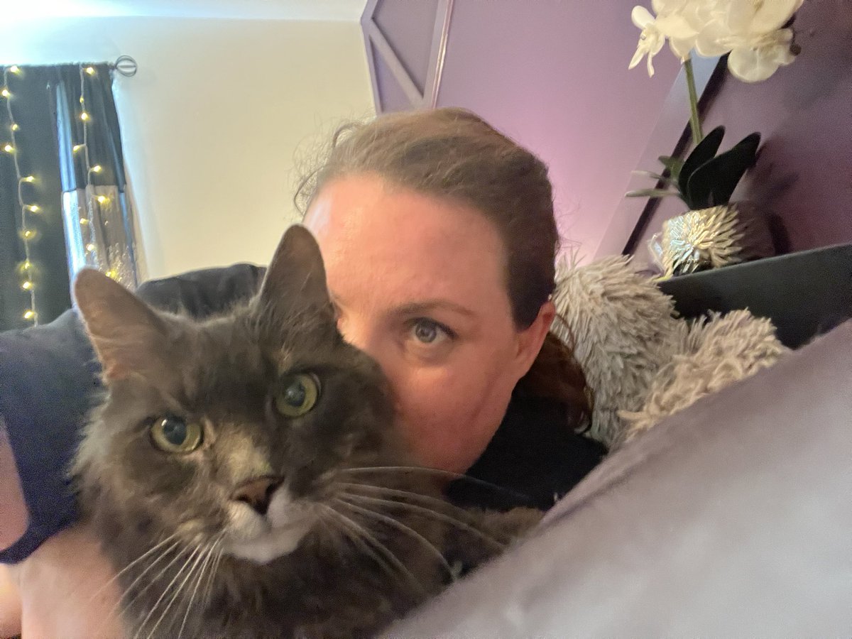 ProfMellyH's tweet photo. Today we had to say goodbye to my baby, Iggy. I’m heartbroken but he’s no longer suffering https://t.co/O0Ndrlm5Je