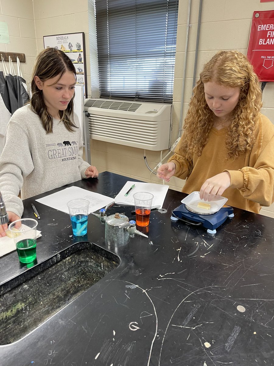 AP students make precise measurements to begin their osmosis and diffusion lab.