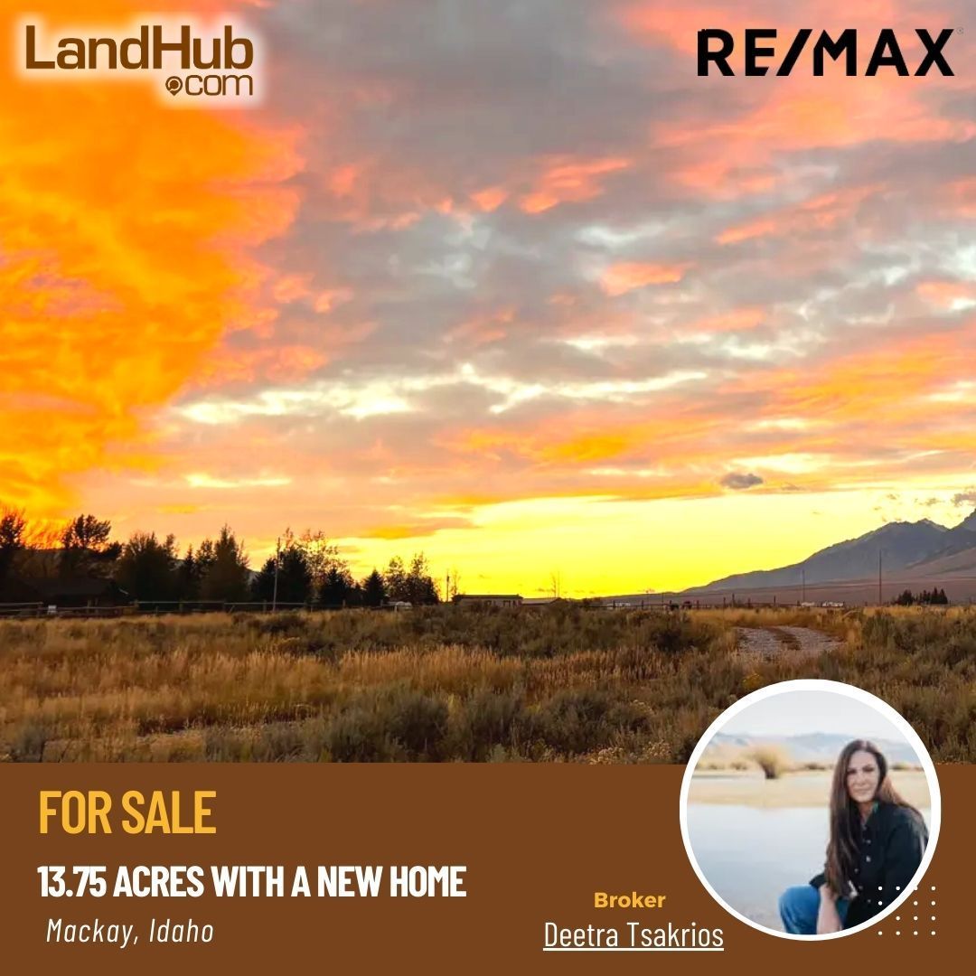 landhub's tweet image. 🏡Newly Constructed Home on 13.75 Acres in Lost River Valley Offers Scenic Bliss and Modern Comforts! 

#Idahorealestate #storageroom #propertyforsale #buyland #customhome #mountainviews
MORE INFO ✅ bit.ly/46s8PIO
